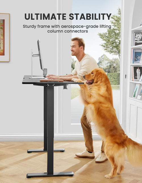 Load image into Gallery viewer, Height Adjustable Electric Standing Desk, 48 X 24 Inches Sit Stand up Desk, Memory Computer Home Office Desk (Black)
