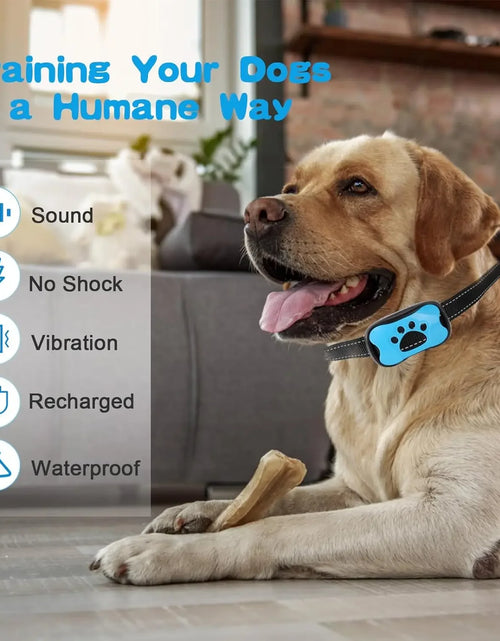 Load image into Gallery viewer, Pet Dog anti Barking Device USB Rechargeable Dogs Training Collar Ultrasonic Stop Barking Vibration anti Bark Collar
