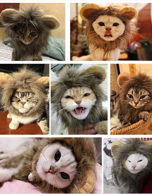 Load image into Gallery viewer, 2 Pack Lion Mane Wig Costume for Cat Costume Bunny Rabbit Hat Headwear with Ears Pet Cosplay Dress up Halloween Party Costume Accessories for Cats &amp; Small Dogs
